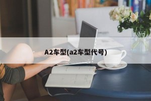 A2车型(a2车型代号)