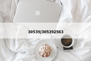 30539/305392563
