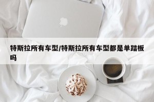 特斯拉所有车型/特斯拉所有车型都是单踏板吗