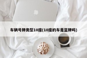 车辆号牌类型10座(10座的车是蓝牌吗)
