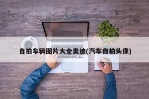 自拍车辆图片大全奥迪(汽车自拍头像)