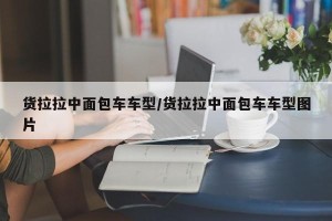 货拉拉中面包车车型/货拉拉中面包车车型图片