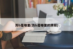 苏b是哪里(苏b是哪里的牌照)